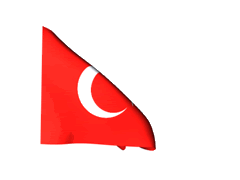 turk-bayragi