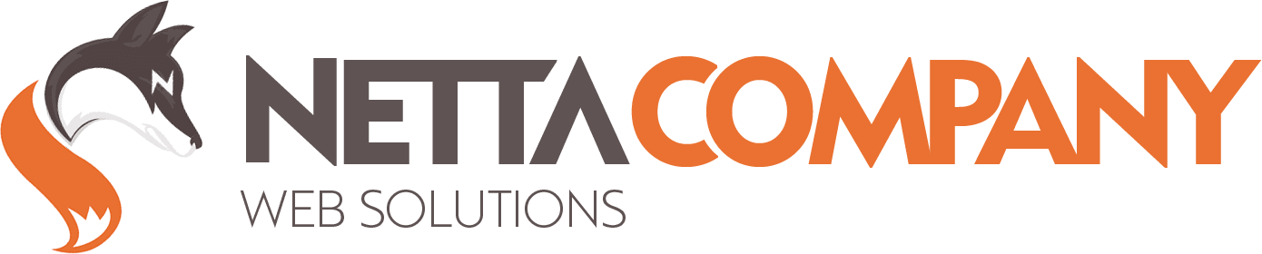 NettaCompany Web Solutions – Hosting Domain Servers